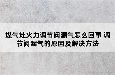 煤气灶火力调节阀漏气怎么回事 调节阀漏气的原因及解决方法